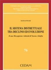 Il sistema distrettuale tra declino ed evoluzione. Il caso Mezzogiorno: i distretti di Nocera e Solofra di Elio Iannuzzi edito da CEDAM