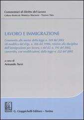 Lavoro e immigrazione edito da Giappichelli