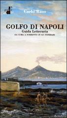Il golfo di Napoli. Guida letteraria. Da Cuma a Sorrento di Carlo Raso edito da Di Mauro Franco