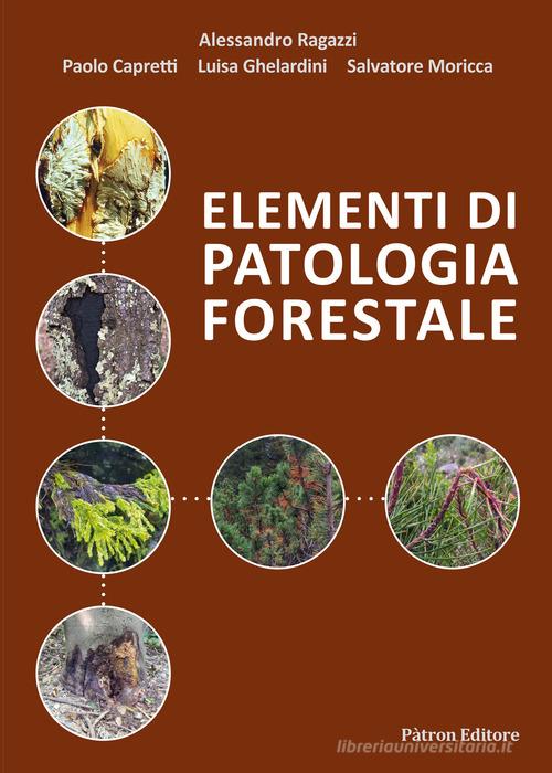 Elementi di patologia forestale di Alessandro Ragazzi, Paolo Capretti, Luisa Ghelardini edito da Pàtron