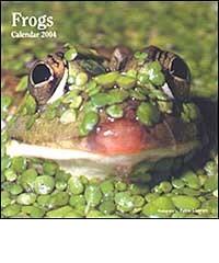 Frogs. Calendario 2004 piccolo edito da Lem