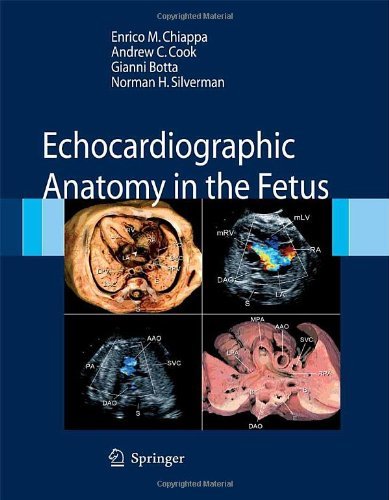 Echocardiographic anatomy in the fetus edito da Springer Verlag