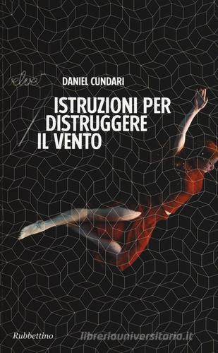 Istruzioni per distruggere il vento di Daniel Cundari edito da Rubbettino