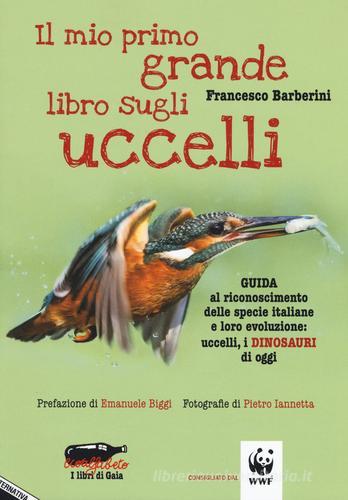 Il mio primo grande libro sugli uccelli. Guida al riconoscimento delle specie italiane e loro evoluzione: uccelli, i dinosauri di oggi di Francesco Barberini edito da Stampa Alternativa