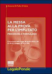 La messa alla prova per l'imputato di Antonio Di Tullio D'Elisiis edito da Maggioli Editore