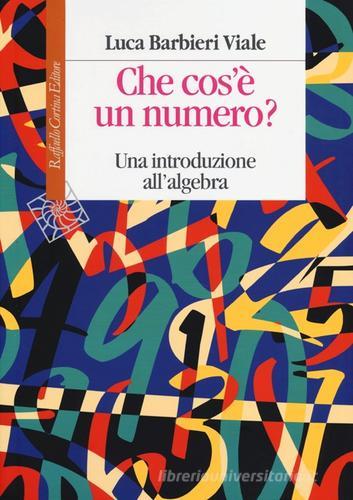 Che cos'è un numero. Un'introduzione all'algebra di Luca Barbieri Viale edito da Raffaello Cortina Editore