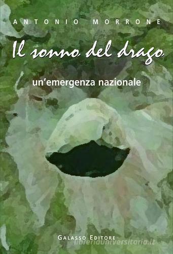 Il sonno del drago. Un'emergenza nazionale di Antonio Morrone edito da Galasso (Napoli)