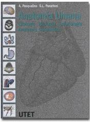 Anatomia umana. Citologia, istologia, embriologia, anatomia sistematica di Arcangelo Pasqualino, G. L. Panattoni edito da UTET