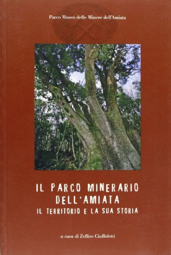 Il parco minerario dell'Amiata. Il territorio e la sua storia di Zeffiro Ciuffoletti edito da C&P Adver Effigi