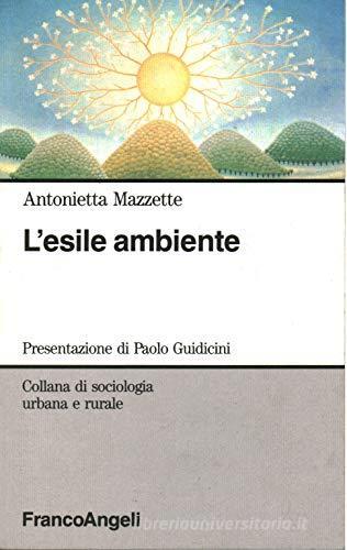 L' esile ambiente di Antonietta Mazzette edito da Franco Angeli