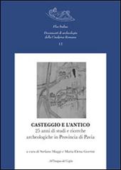 Casteggio e l'antico. 25 anni di studi e ricerche archeologiche in provincia di Pavia edito da All'Insegna del Giglio