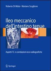 Ileo meccanico dell'intestino tenue: aspetti TC e correlazioni eco-radiografiche di Roberto Di Mizio, Mariano Scaglione edito da Springer Verlag