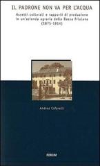 Il padrone non va per l'acqua. Assetti colturali e rapporti di produzione in un'azienda agraria della Bassa friulana (1875-1914) di Andrea Cafarelli edito da Forum Edizioni