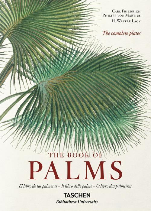 C. F. P. von Martius. The book of palms. Ediz. italiana, spagnola e portoghese di H. Walter Lack edito da Taschen