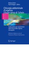 Chirurgia addominale d'urgenza: il buon senso di Schein edito da Springer Verlag