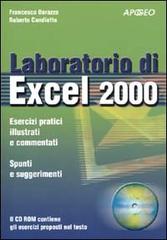 Laboratorio di Excel 2000. Con CD-ROM di Francesco Borazzo, Roberto Candiotto edito da Apogeo