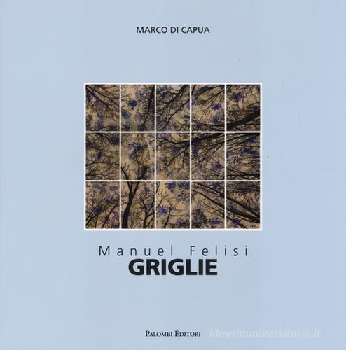 Manuel Felisi. Griglie. Catalogo della mostra (Roma, 18 ottobre-8 novembre 2014). Ediz. italiana e inglese edito da Palombi Editori