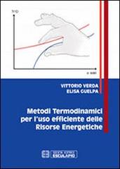 Metodi termodinamici per l'uso efficiente delle risorse energetiche di Vittorio Verda, Elisa Guelpa edito da Esculapio