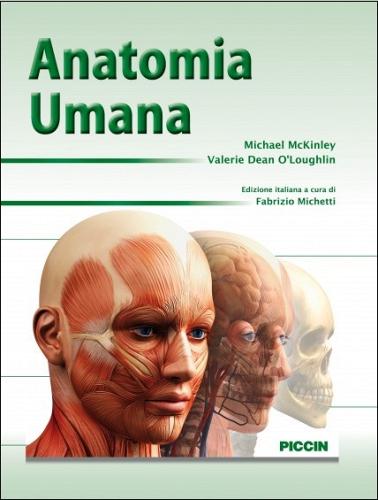 Anatomia umana di Michael Mckinley edito da Piccin-Nuova Libraria