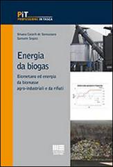 Energia da biogas di Silvana Castelli de Sannazzaro, Samuele Segato edito da Maggioli Editore