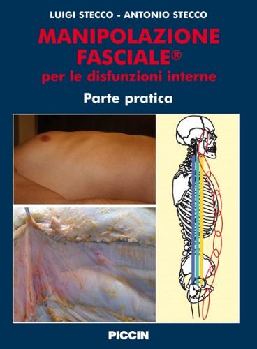 Manipolazione fasciale per le disfunzioni interne. Parte pratica di Luigi Stecco, Antonio Stecco edito da Piccin-Nuova Libraria