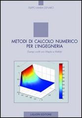 Metodi di calcolo numerico per l'ingegneria. Esempi svolti con Maple e Matlab di Filippo M. Denaro edito da Liguori