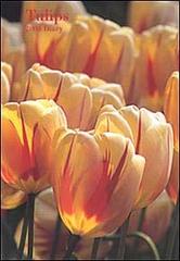 Tulips. Agenda 2004 edito da Lem