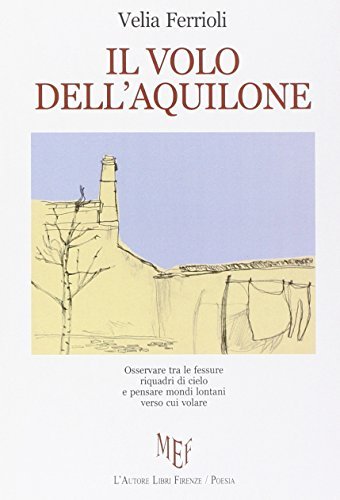 Il volo dell'aquilone di Velia Ferrioli edito da L'Autore Libri Firenze