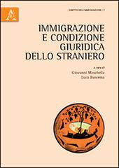 Immigrazione e condizione giuridica dello straniero edito da Aracne