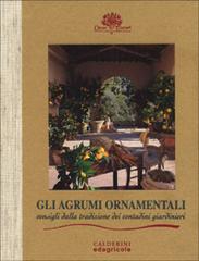 Gli agrumi ornamentali. Consigli dalla tradizione dei contadini giardinieri di Giorgio Tintori, Sergio Tintori edito da Edagricole