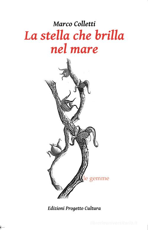 La stella che brilla nel mare di Marco Colletti edito da Progetto Cultura
