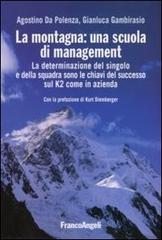 La montagna: una scuola di management. La determinazione del singolo e della squadra sono le chiavi del successo sul K2 come in azienda di Agostino Da Polenza, Gianluca Gambirasio edito da Franco Angeli