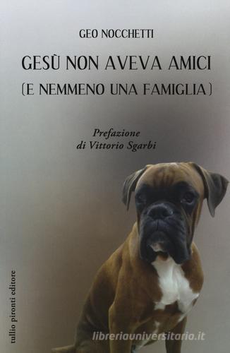 Gesù non aveva amici (e nemmeno una famiglia) di Geo Nocchetti edito da Tullio Pironti