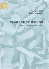 Metalli e minerali industriali. Parametri geominerari ed economici di Luciano Brigo, Fabio Montanari edito da Aracne