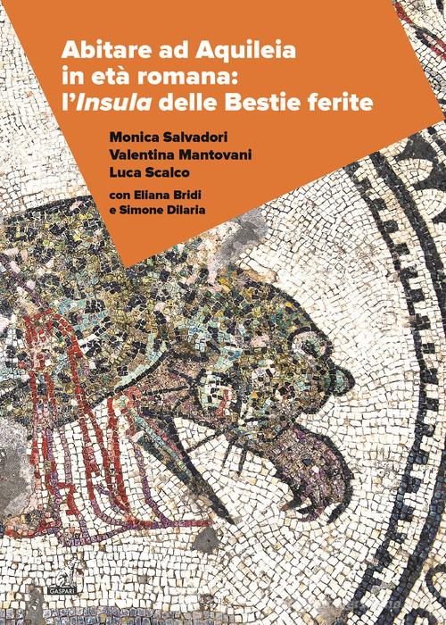 Abitare ad Aquileia in età romana: l'insula delle Bestie Ferite di Monica Salvadori, Valentina Mantovani, Luca Scalco edito da Gaspari