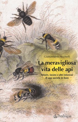 La meravigliosa vita delle api. Amore, lavoro e altri interessi di una società in fiore di Gianumberto Accinelli edito da Pendragon