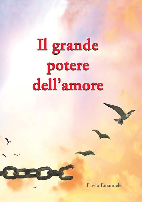 Il grande potere dell'amore di Flavio Emanuele edito da Tipografia Editrice Frusinate