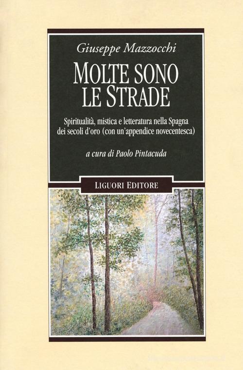 Molte sono le strade. Spiritualità, mistica e letteratura nella Spagna dei secoli d'oro (con un'appendice novecentesca) di Giuseppe Mazzocchi edito da Liguori