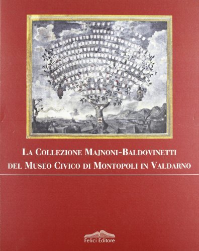 La collezione Majnoni Baldovinetti del Museo civico di Montopoli in Valdarno di Stefano Bruni edito da Felici