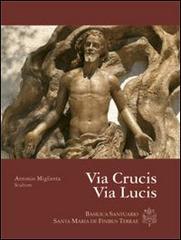 Via Crucis via lucis. Ediz. illustrata edito da Editrice Salentina