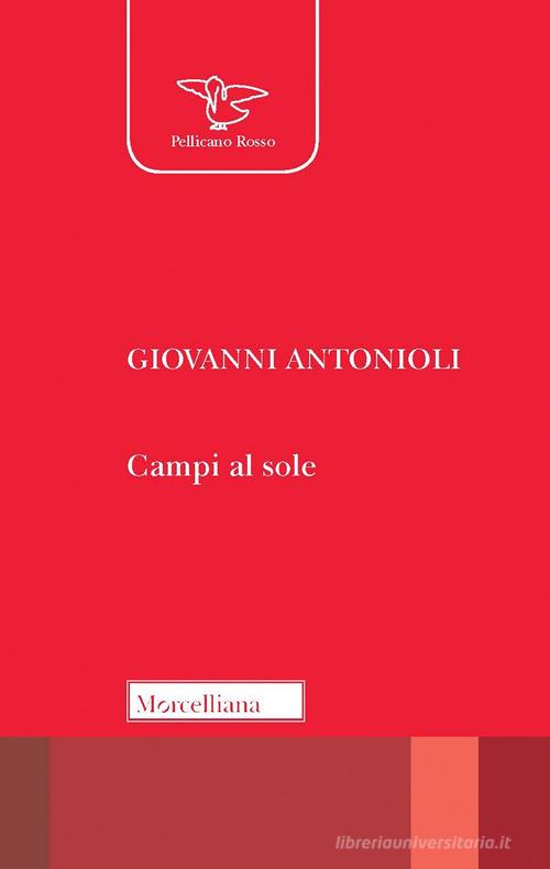 Campi al sole di Giovanni Antonioli edito da Morcelliana