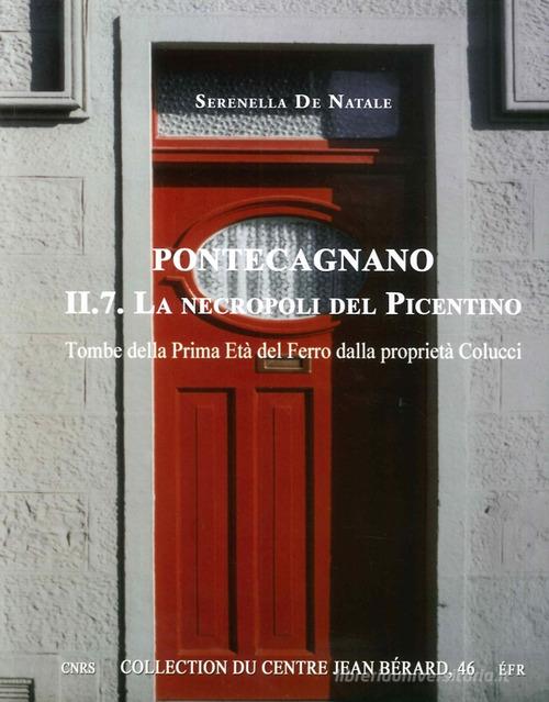 Pontecagnano vol.2.7 di Serenella De Natale edito da Centre Jean Bérard