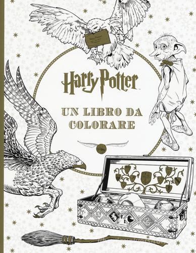 Harry Potter. Un libro da colorare. Ediz. illustrata edito da Panini Comics