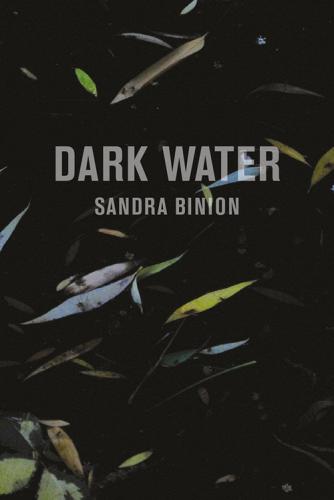 Dark water. Catalogo della mostra (Pisa, 18 marzo-20 maggio 2017). Ediz. italiana e inglese di Sandra Binion edito da Edizioni ETS