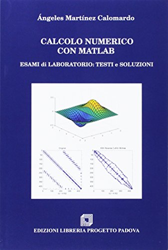 Calcolo numerico con Matlab. Esami di laboratorio. Testi e soluzioni di Angeles Martinez Calomardo edito da Progetto Libreria