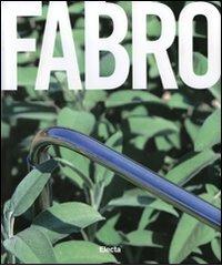 Luciano Fabro. Catalogo della mostra (Napoli, 21 ottobre 2007-7 gennaio 2008). Ediz. inglese edito da Mondadori Electa