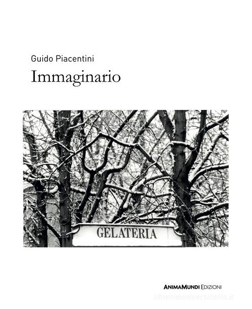 Immaginario. Ediz. illustrata di Guido Piacentini edito da AnimaMundi Edizioni
