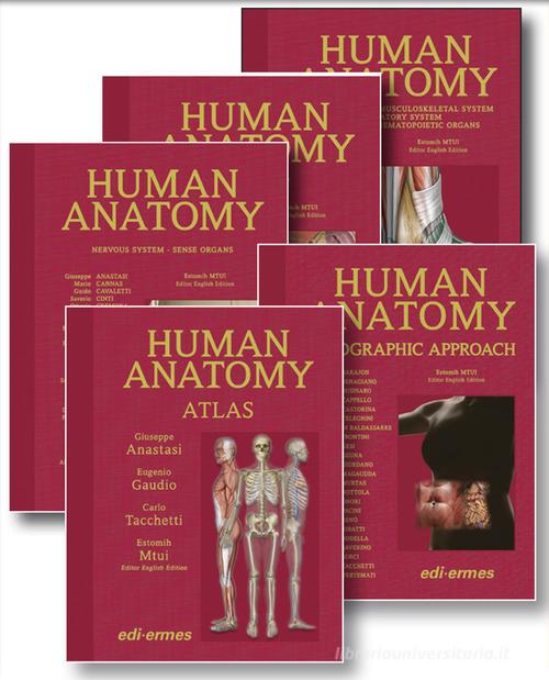 Anatomy bag plus. Treatise on Human Anatomy, Topographic Approach, Atlas. Ediz. illustrata edito da Edi. Ermes