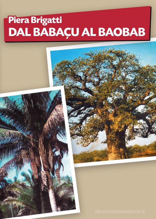 Dal babaçu al baobab di Piera Brigatti edito da Youcanprint
