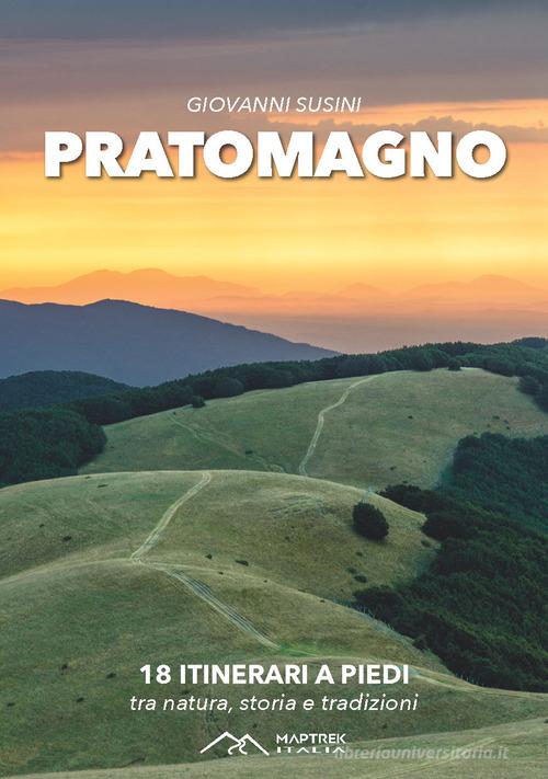 Pratomagno. 18 itinerari a piedi tra natura, storia e tradizioni di Giovanni Susini edito da MapTrek Italia